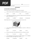 Worksheet Earthquake