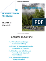 CH 16 Glycolysis-Môn hóa sinh trao đổi chất 