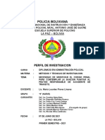 Trabajo Practico Perfil Investigativo Grupo 9