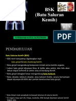 BSK Dan Aki