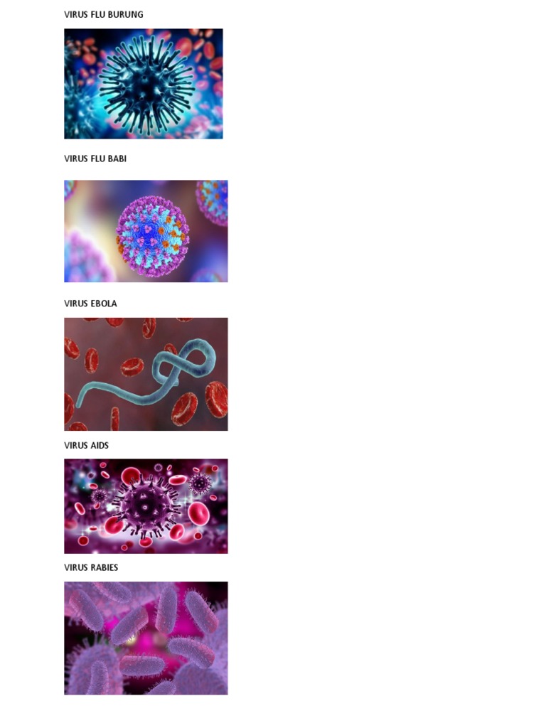 Gambar Virus | PDF