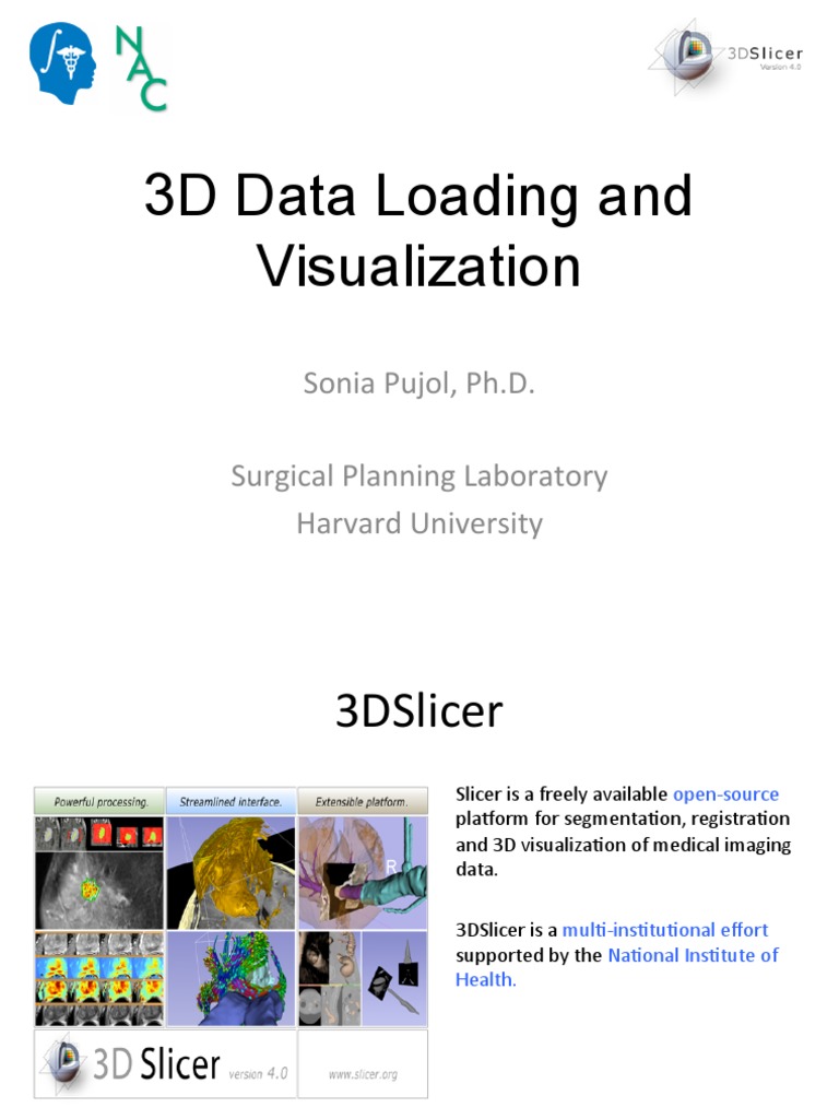 3D Slicer: Data Loading & Visualization | PDF | Software | Information ...