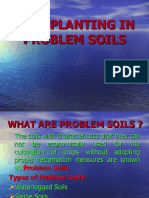 10 - Tree Planting in Problem Soil Improved