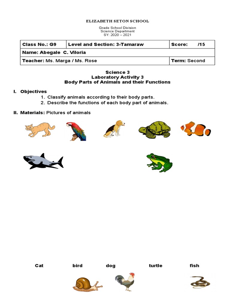 Classify Animals According To Their Body Parts. 2. Describe The ...