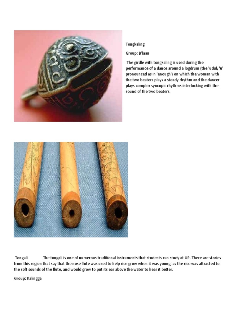 DISCIPLINES PDF Musical Instruments Performing Arts