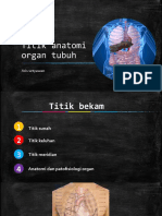 Titik Anatomi Organ Tubuh