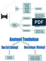 Anatomi 1