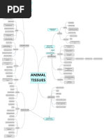 Animal Tissues
