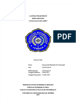 PDF Laporan Praktikum Uji Kualitatif Lipid Hehe