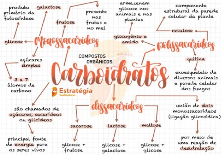 Mapas Mentais sobre NOTAÇÃO CIENTIFICA - Study Maps