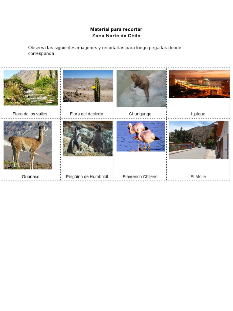 Recortes de Flora y Fauna Zona Norte Chile | PDF