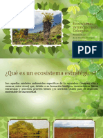 Ecosistemas Estratégicos en Colombia