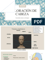 Exploracion de Cabeza