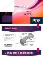 Anato-Fisio Pancreas