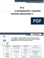 TP 9 Sistema Endocrino 2