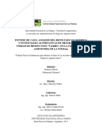 Análisis Del Resultado Económico Del Tambo