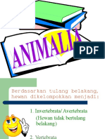 Powerpoint Animalia Vertebrata