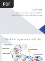 La Célula