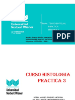 3 Practica 3 Conectivo I