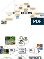 ACT 2U2 Mapas Mentales