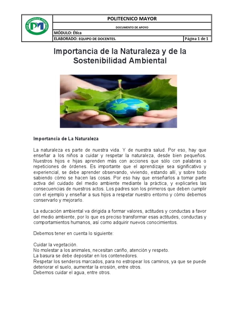 6.la Importancia de La Sostenibilidad Ambiental | PDF | Sustentabilidad ...