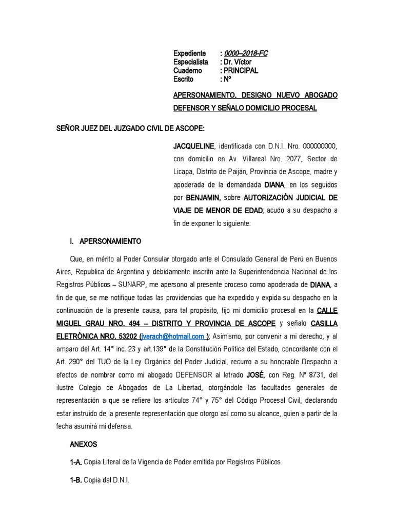 Escrito de Apersonamiento Judicial | PDF | Justicia | Ley Pública