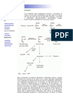 Tipos de Metabolitos