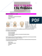 4. Desarrollo y Evolución de La Dentición