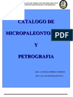 Fotos de Petro y Paleo de Mezosoico Litoral