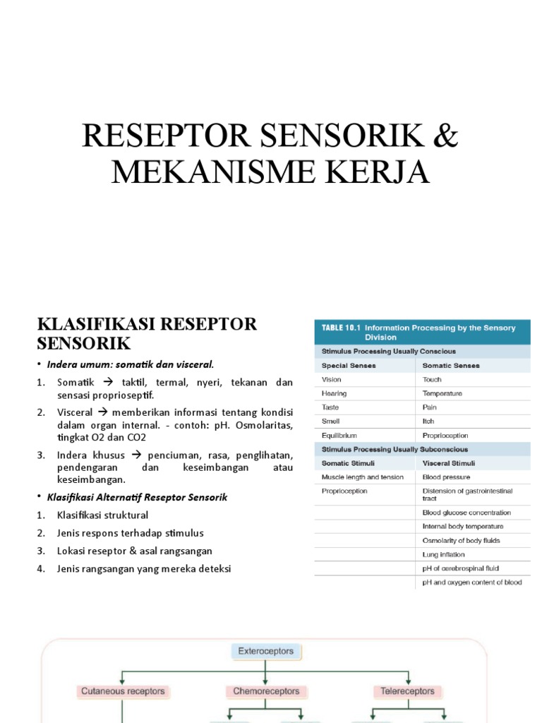 Klasifikasi dan Mekanisme Reseptor Sensorik | PDF