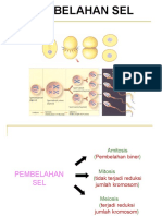 Pembelahan Sel