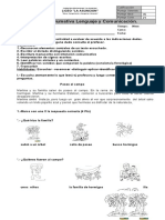 Prueba Leccion Loro Nido Pino y Pato