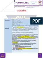 P.3.4 Giardiasis 09-07-19-1