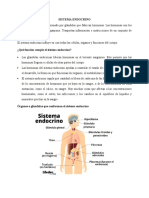 Sistema Endocrino