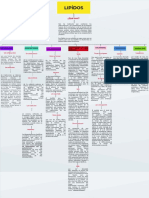 Mapa Lipidos