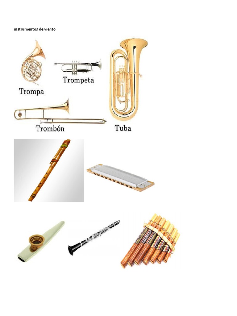 Instrumentos de Viento | PDF | Arte | Clásicos