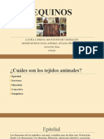 Morfofisiologia animal_Practica