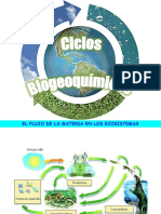 Ciclos Biogeo