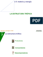 03 Estructura Trofica