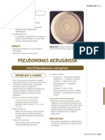 Osms It/pseudomonas-Aeruginosa