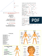 Corps & Partitifs