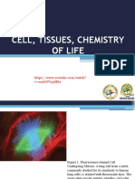 Cell, Tissues, Chemistry of Life: V O2Abdvq4M84