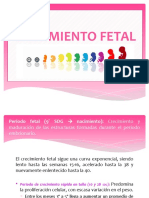 Desarrollo Fetal