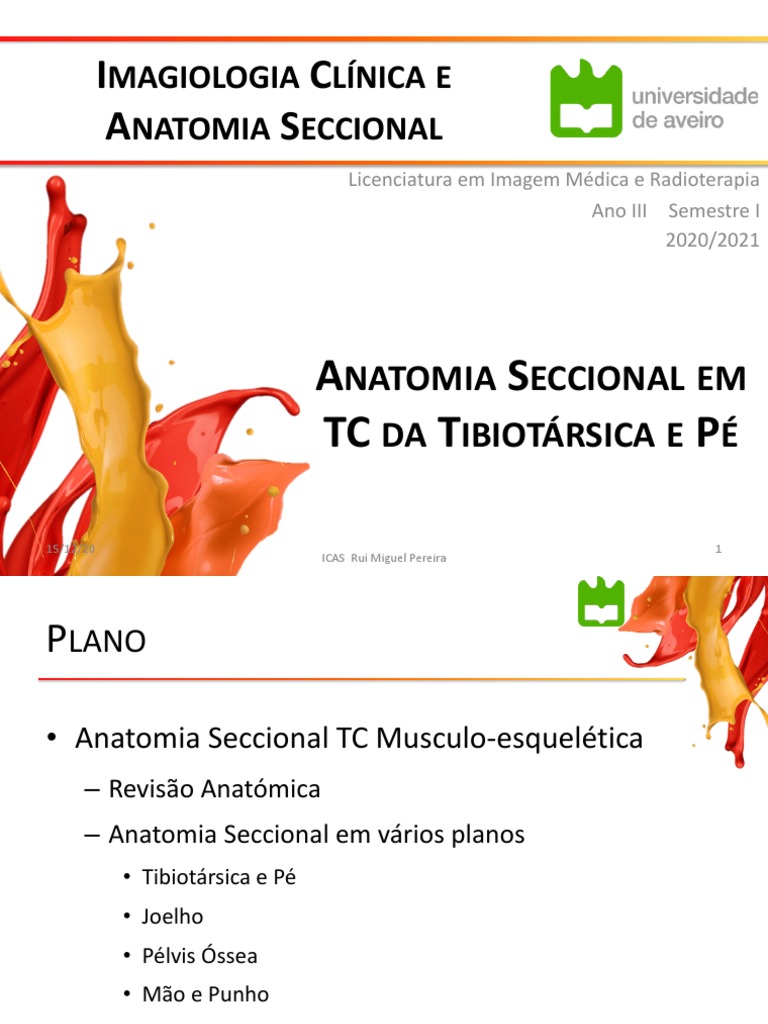 1 - Anatomia Seccional - Tibiotársica e Pé | PDF | Pé | Anatomia