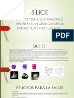 Expocicion Sílice