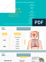 Sem9 Fisiopatología