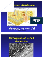 The Plasma Membrane The Plasma Membrane - : Gateway To The Cell Gateway To The Cell