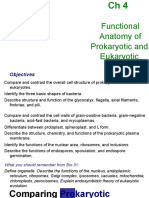 Functional Anatomy of Prokaryotic and Eukaryotic Cells: Objectives