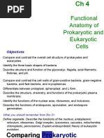 Functional Anatomy of Prokaryotic and Eukaryotic Cells: Objectives