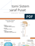 Anatomi Sistem Saraf Pusat